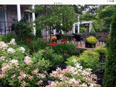 Garden at Via Veneto 