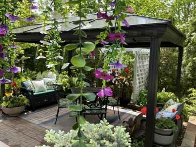 Via Veneto garden 